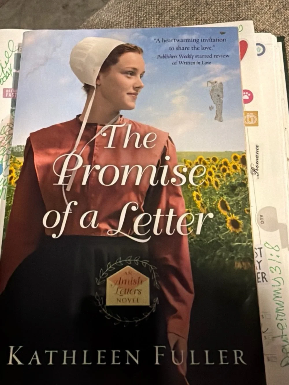 Amish Life Series Paperback Book - Green/Blue Cover